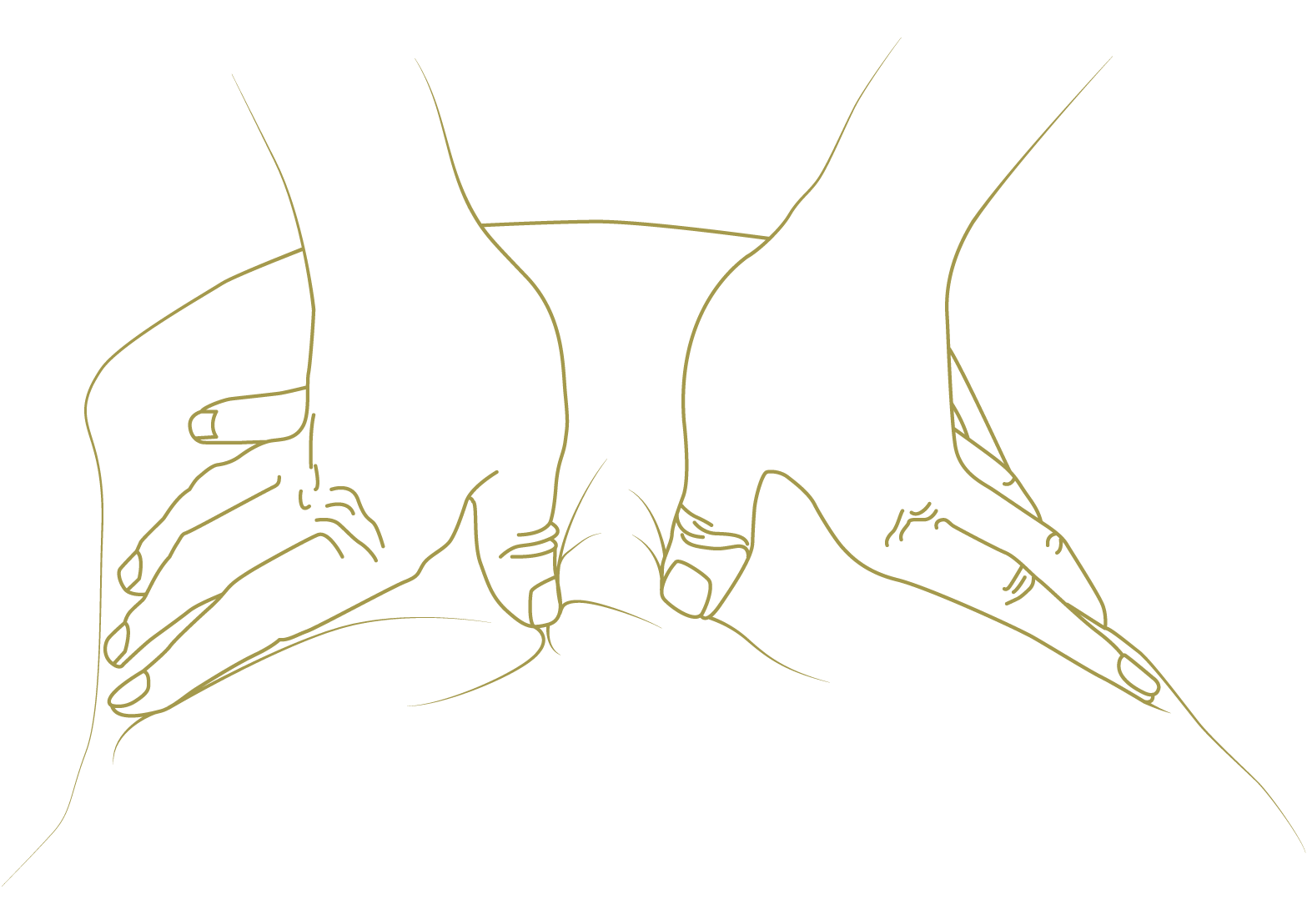160414_verena_illus-02445x314_2x