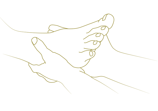 160418_verena_illus-18320x227_2x