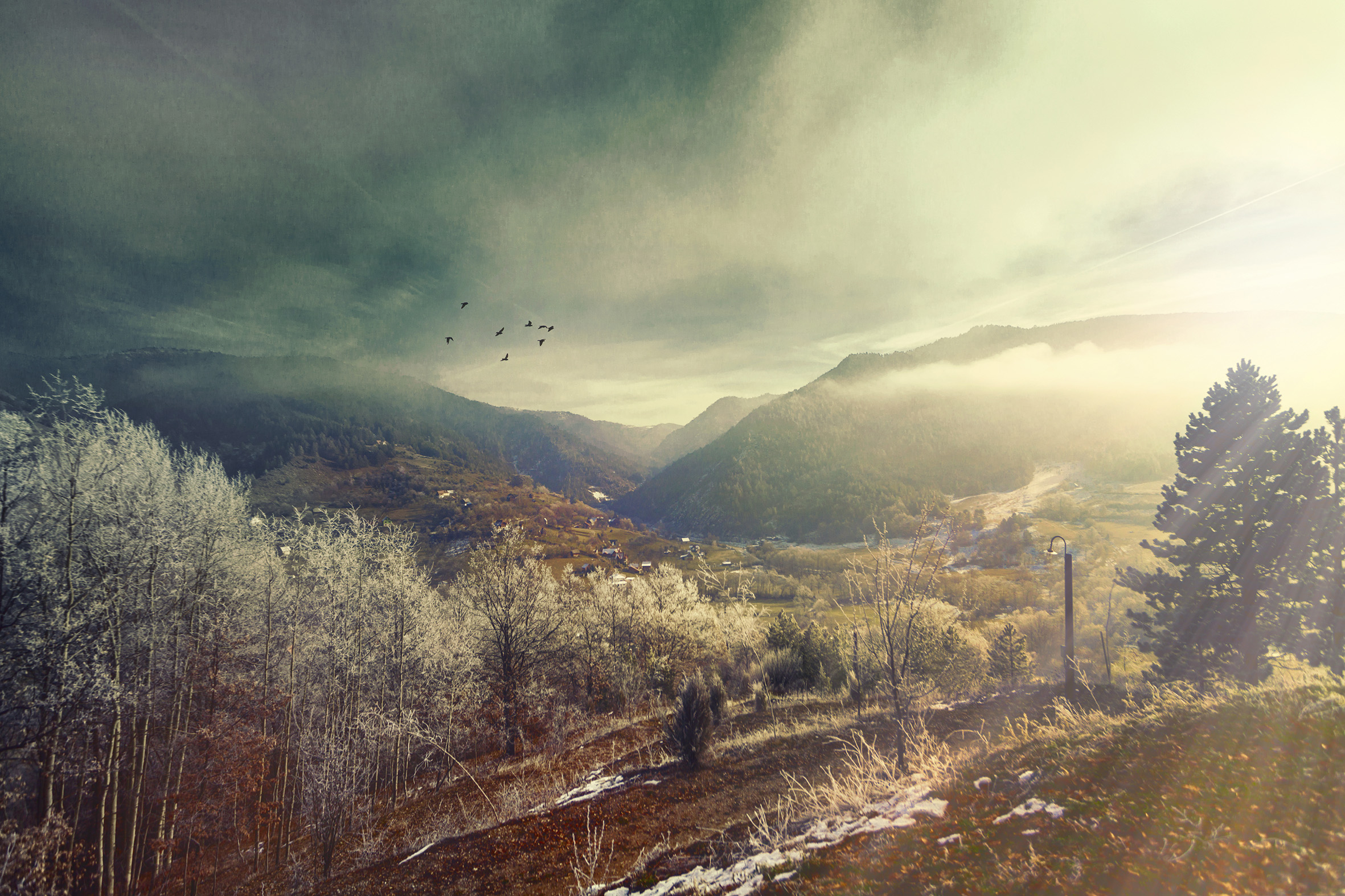 istock_000047292072_web
